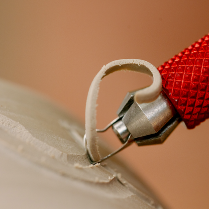 Dragonfly Tool, Universal Handle with Medium P Shape Blade