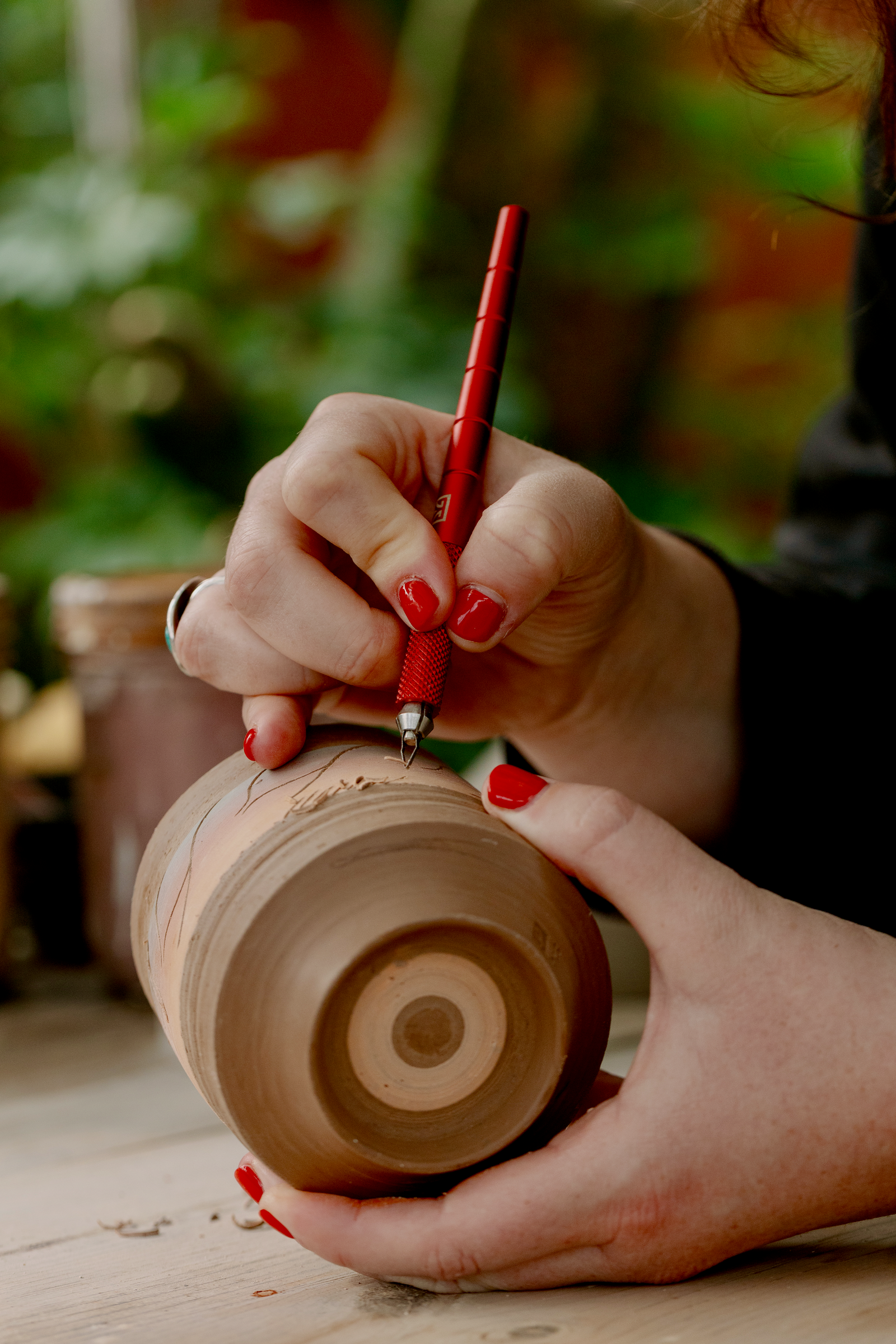 The Dragonfly System